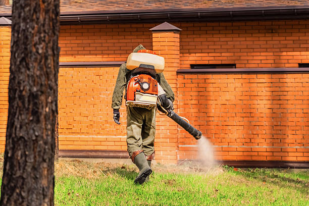 Trusted Emergency Pest Control service in Hoschton, GA - Nex Pest Control